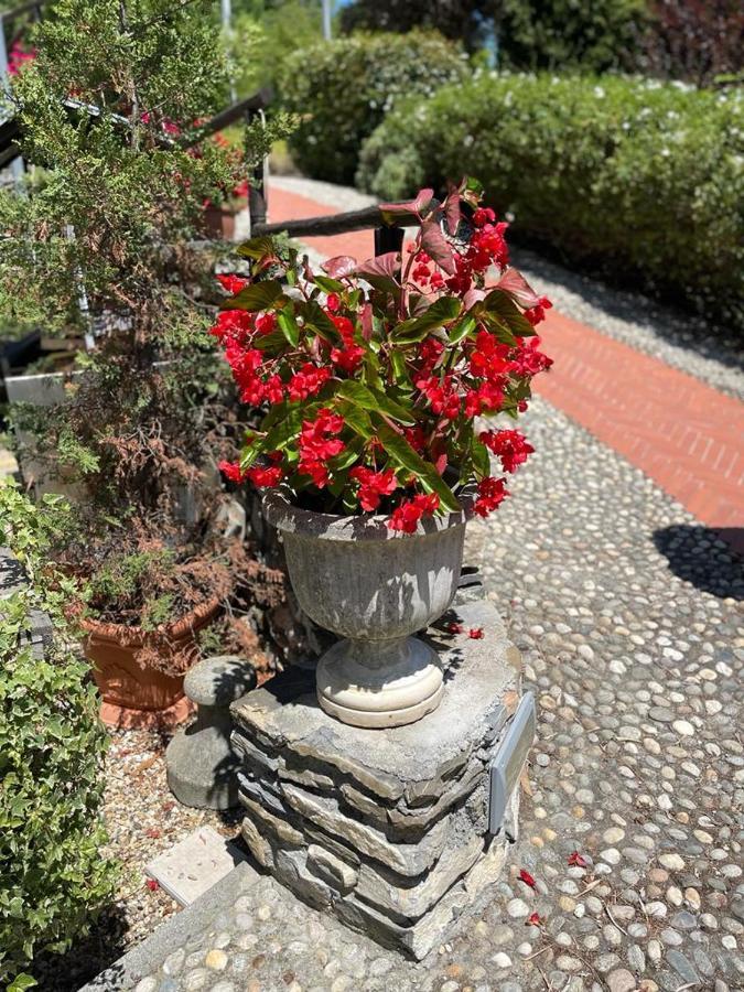 Agriturismo A Canonica Garlenda Bagian luar foto