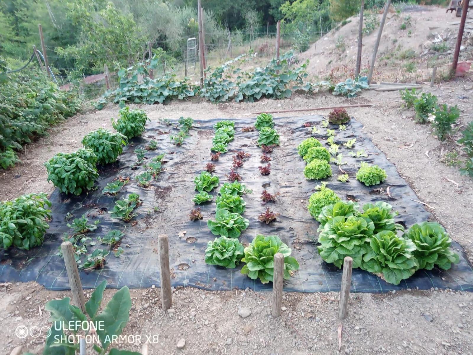 Agriturismo A Canonica Garlenda Bagian luar foto