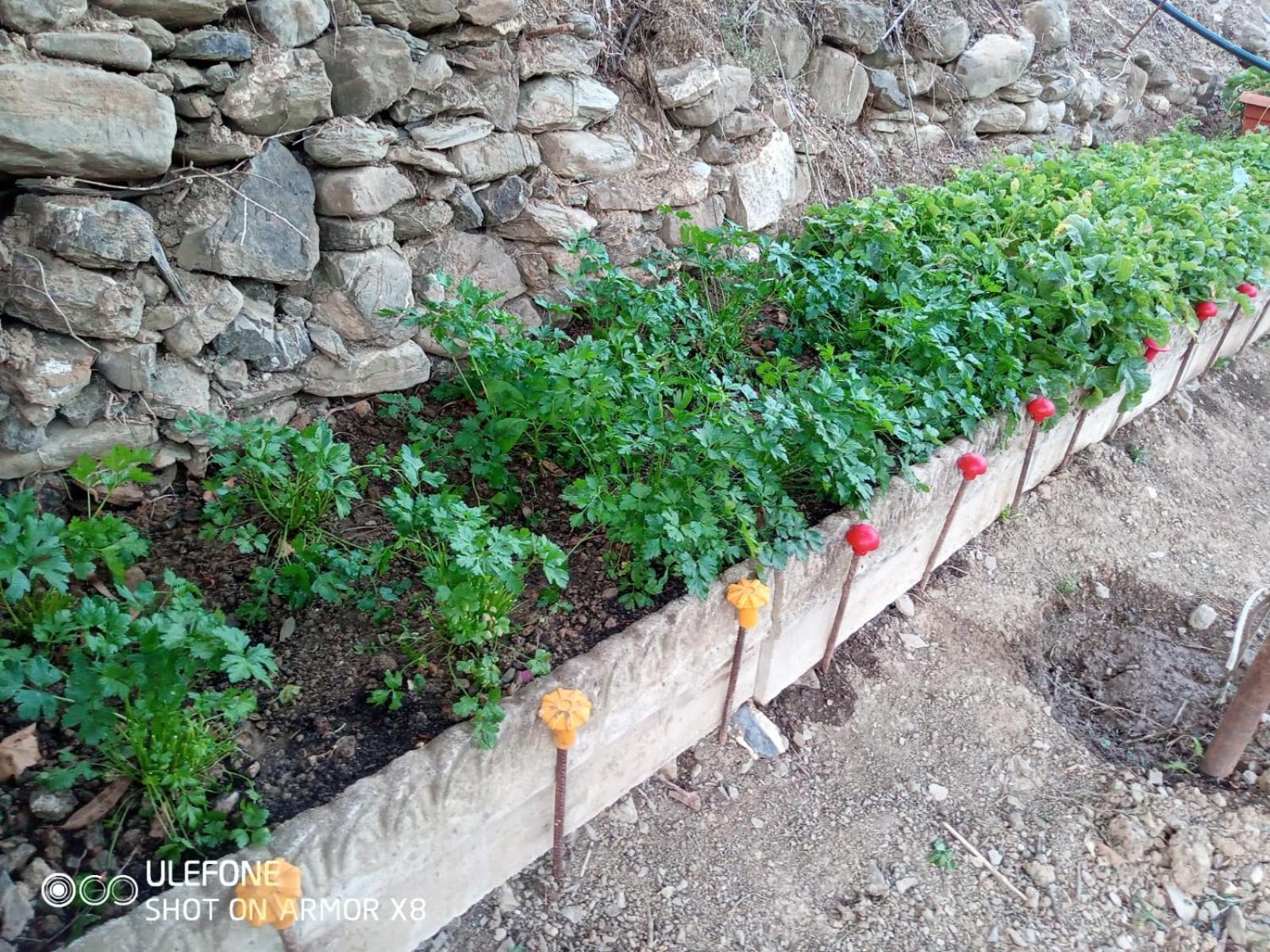 Agriturismo A Canonica Garlenda Bagian luar foto