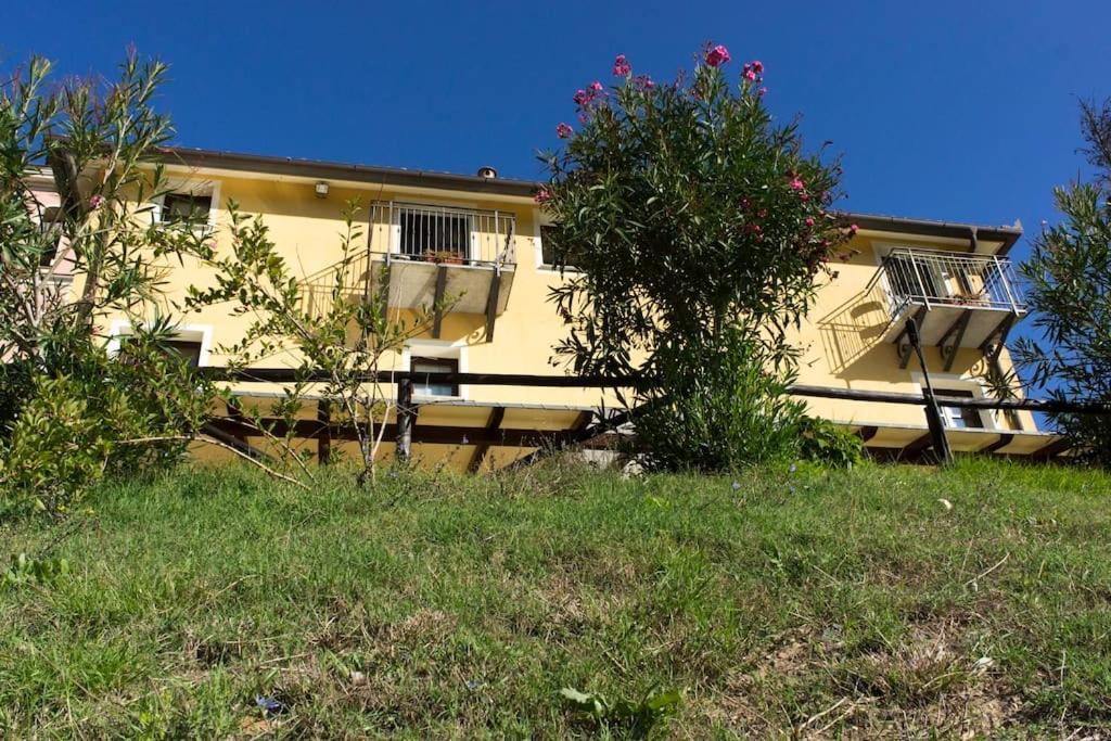 Agriturismo A Canonica Garlenda Bagian luar foto