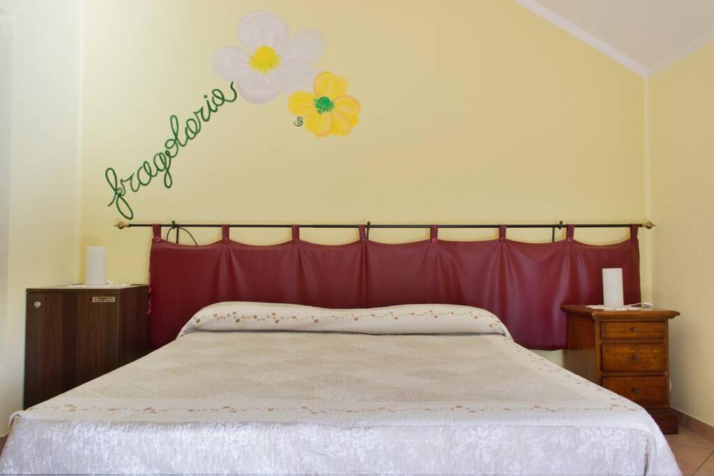Agriturismo A Canonica Garlenda Bagian luar foto